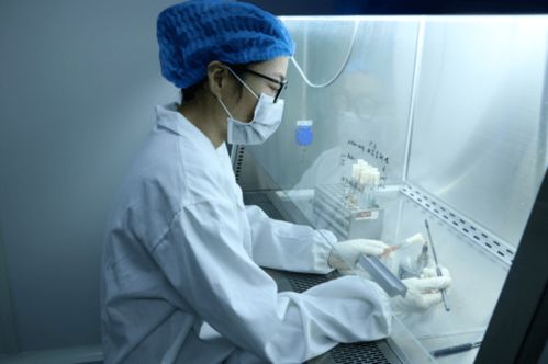 服務類 高新區(qū)優(yōu)秀產業(yè)展示 二